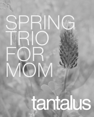 Spring Trio for Mom